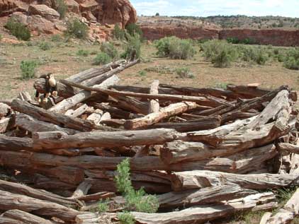 Speaking of occupation sites...